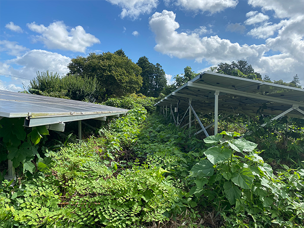 実績・評判口コミ画像01-宮城県　49.5kW　低圧