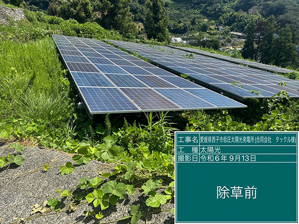 実績・評判口コミ画像01-愛媛県　49.5kw　低圧