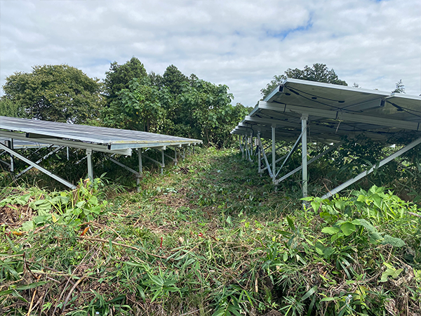 宮城県　49.5kW　低圧