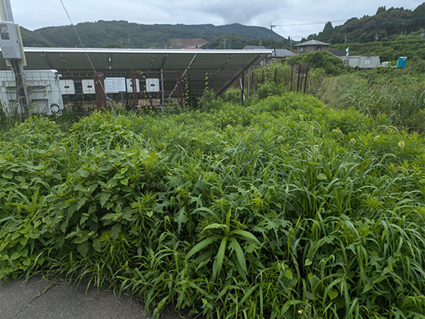 実績・評判口コミ画像03-佐賀県　除草　49.5kW　低圧