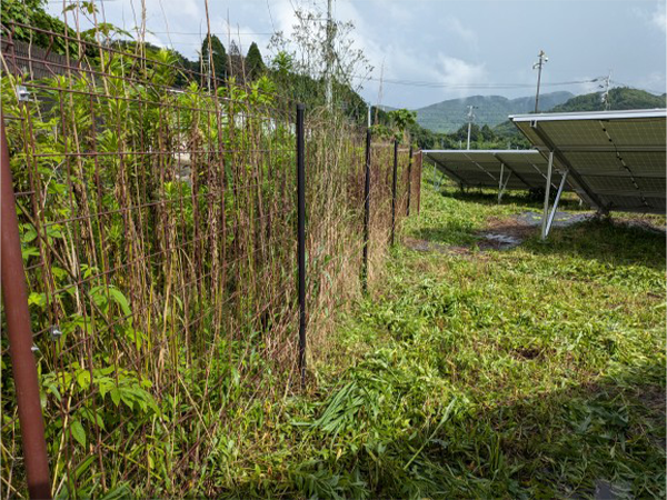 実績・評判口コミ画像03-佐賀県　49.5kw　低圧