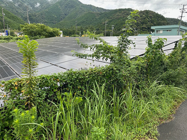 実績・評判口コミ画像01-三重県　49.5kW　低圧