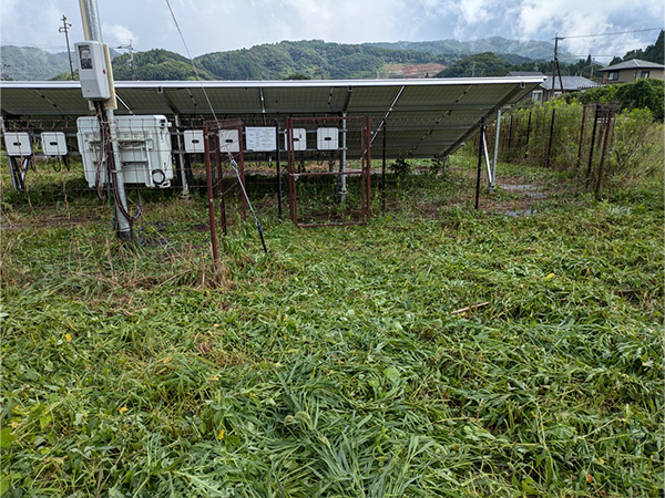 実績・評判口コミ画像01-佐賀県　49.5kw　低圧