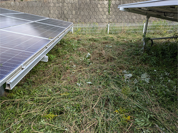 実績・評判口コミ画像01-佐賀県　49.5KW　低圧