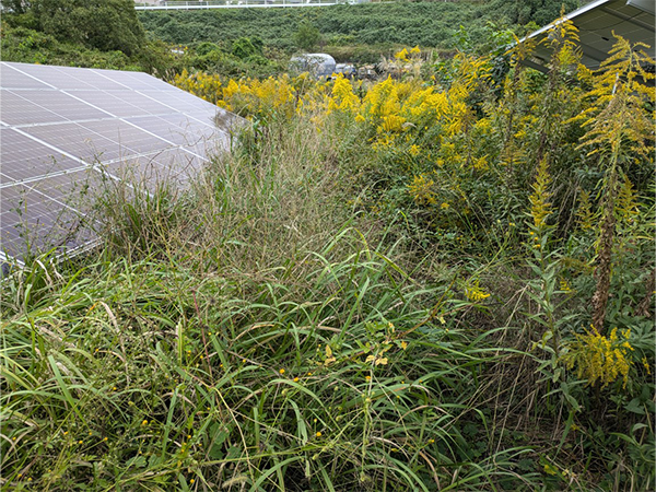 実績・評判口コミ画像02-佐賀県　49.5kW　低圧