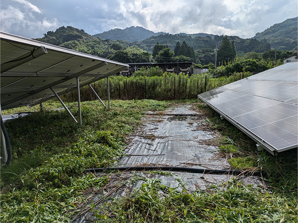 実績・評判口コミ画像02-佐賀県　49.5kw　低圧