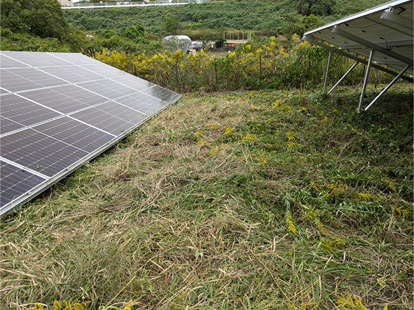 実績・評判口コミ画像03-佐賀県　49.5kW　低圧