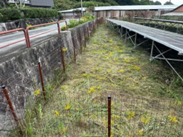 実績・評判口コミ画像02-三重県　除草　49.5kW 低圧