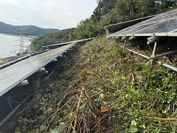 実績・評判口コミ画像01-岡山県　49.5KW　低圧