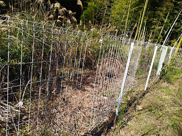 実績・評判口コミ画像03-高知県　49.5kW　低圧