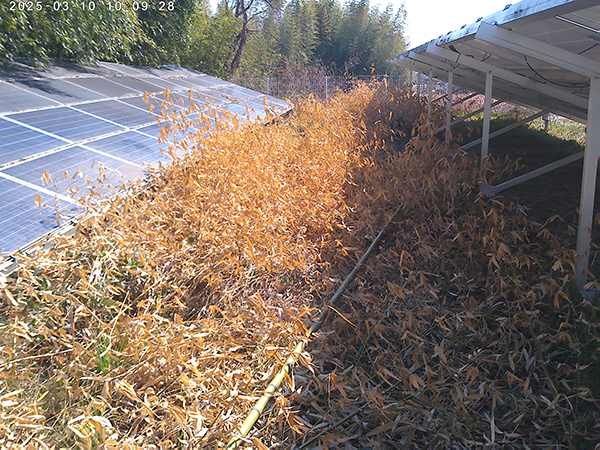 実績・評判口コミ画像02-徳島県　スポット　49.5kW　低圧