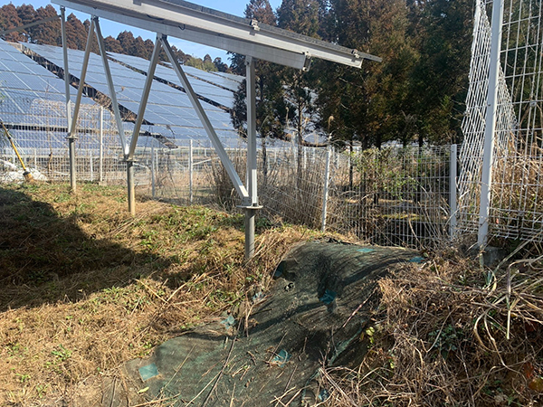 実績・評判口コミ画像01-宮崎県　除草　49.5kW　低圧