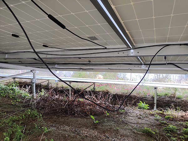 実績・評判口コミ画像02-広島県　49.5kW　低圧