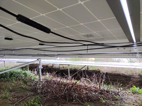 実績・評判口コミ画像03-広島県　49.5kW　低圧