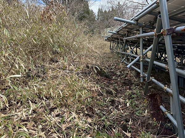 実績・評判口コミ画像03-兵庫県 49.5kW 低圧