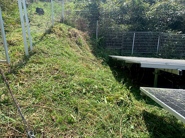 実績・評判口コミ画像03-宮崎県　電気・除草　49.5kW　低圧