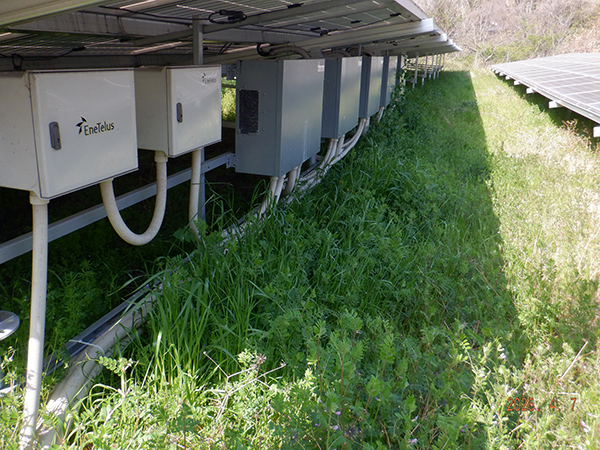 実績・評判口コミ画像01-香川県　除草　49.5kW　低圧
