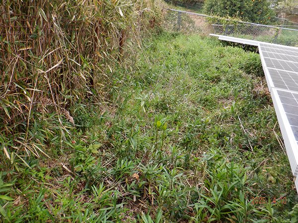 実績・評判口コミ画像01-和歌山県 除草 49.5kW 低圧
