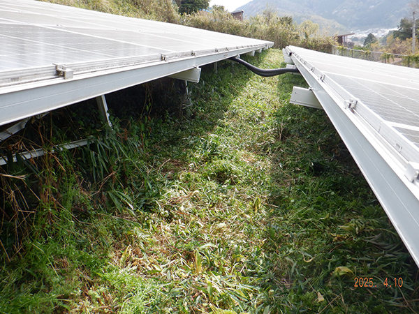 実績・評判口コミ画像02-和歌山県 除草 49.5kW 低圧