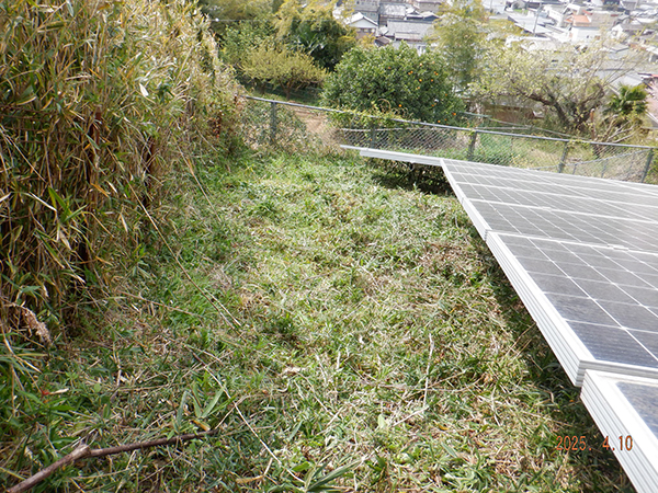 実績・評判口コミ画像03-和歌山県 除草 49.5kW 低圧