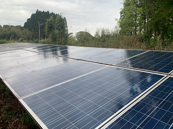 実績・評判口コミ画像01-宮崎県　除草・パネル清掃　49.5kW　低圧