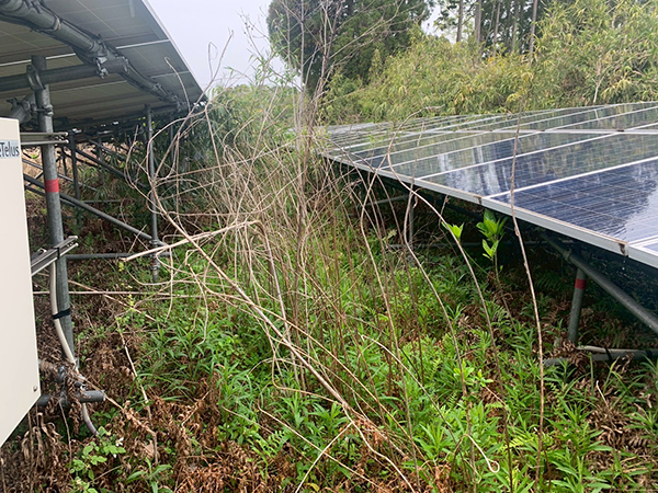 実績・評判口コミ画像02-宮崎県　除草・パネル清掃　49.5kW　低圧