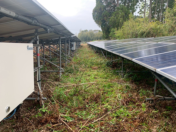 実績・評判口コミ画像03-宮崎県　除草・パネル清掃　49.5kW　低圧
