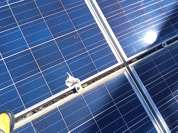 実績・評判口コミ画像01-徳島県③　49.5kW　低圧