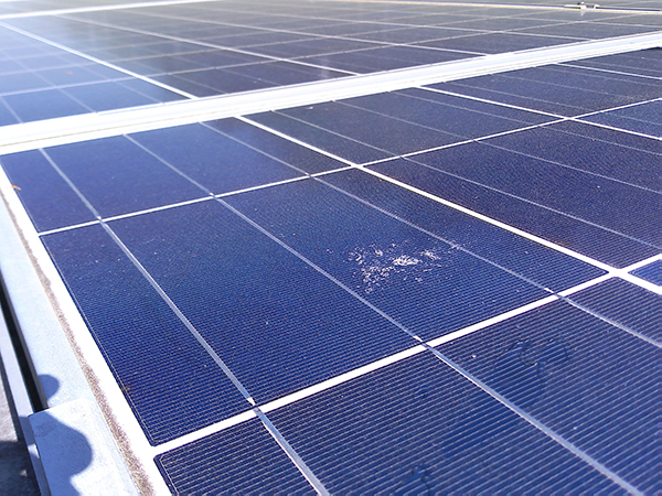 実績・評判口コミ画像02-徳島県③　49.5kW　低圧