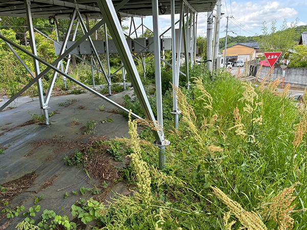 実績・評判口コミ画像01-徳島県　44kW　低圧