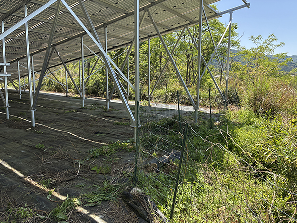実績・評判口コミ画像01-徳島県　38.5kW　低圧