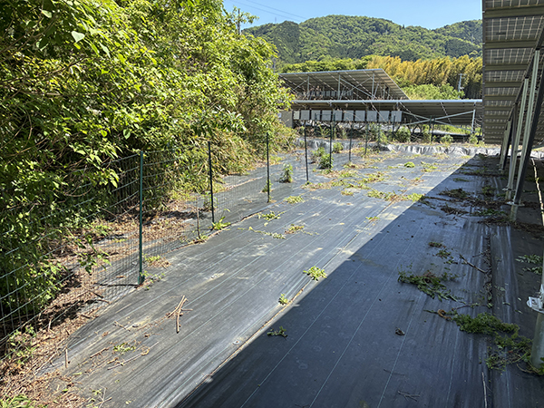 実績・評判口コミ画像03-徳島県　38.5kW　低圧