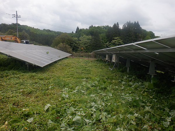 実績・評判口コミ画像01-栃木県　49.5kW　低圧