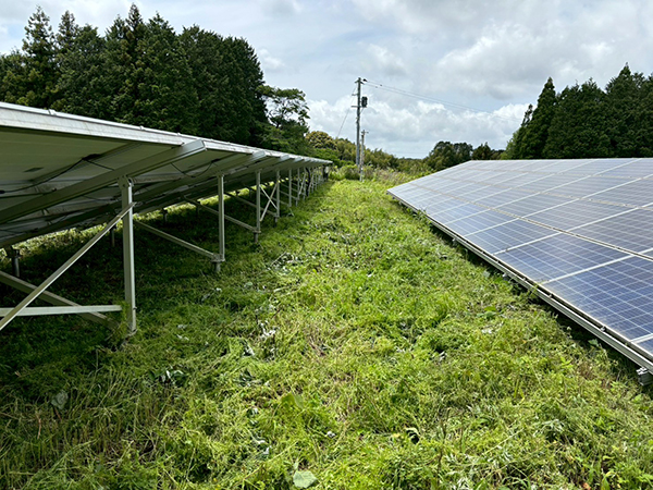 実績・評判口コミ画像02-熊本県　49.5kW　低圧