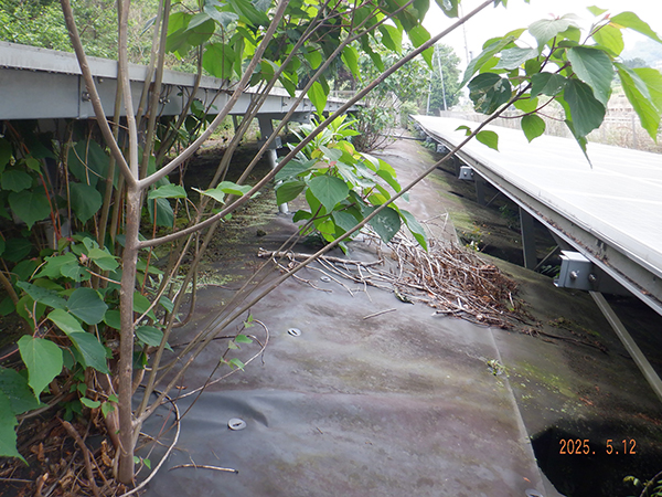 実績・評判口コミ画像02-兵庫県　49.5kW　低圧