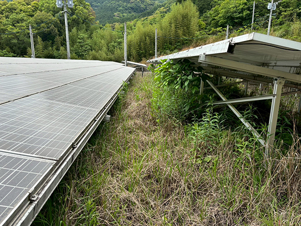実績・評判口コミ画像02-鹿児島県　49.5kW　低圧 (②)