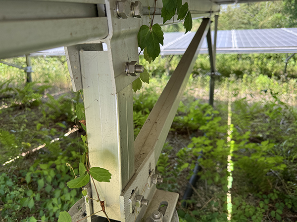 実績・評判口コミ画像02-京都府　630 kW　高圧