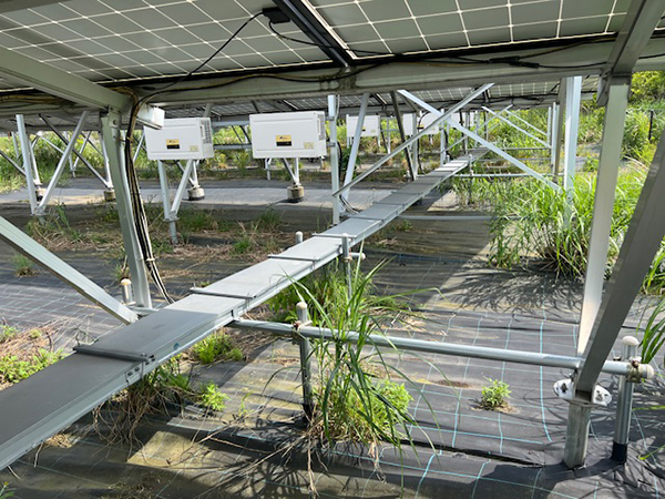 実績・評判口コミ画像02-福井県　49.5kW　低圧