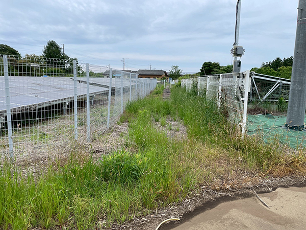 実績・評判口コミ画像01-茨城県　49.5kW　低圧