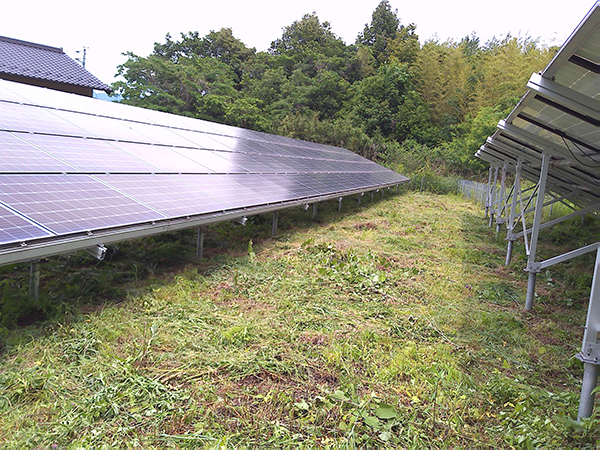 実績・評判口コミ画像02-愛媛県　49.5kW　低圧