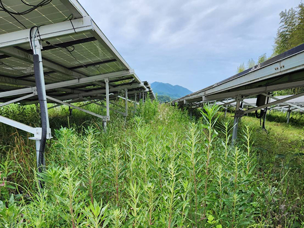 実績・評判口コミ画像01-京都府　630kW　高圧