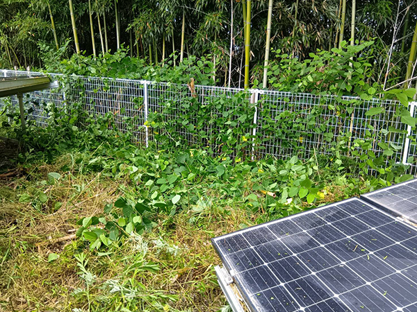 実績・評判口コミ画像02-京都府　630kW　高圧