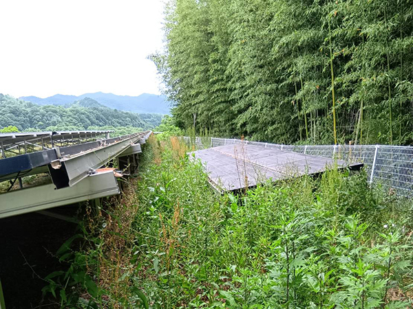 実績・評判口コミ画像01-京都府 除草 630kW 高圧