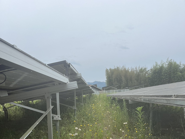 実績・評判口コミ画像03-京都府 除草 630kW 高圧