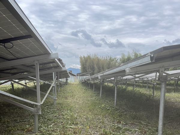 実績・評判口コミ画像02-京都府 除草 630kW 高圧