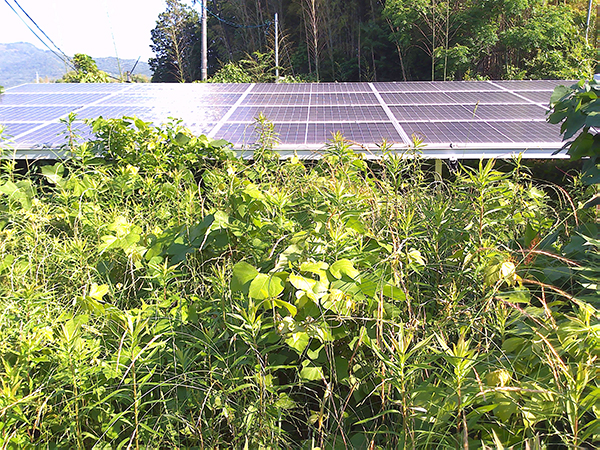 実績・評判口コミ画像01-山口県　49.5kW　低圧
