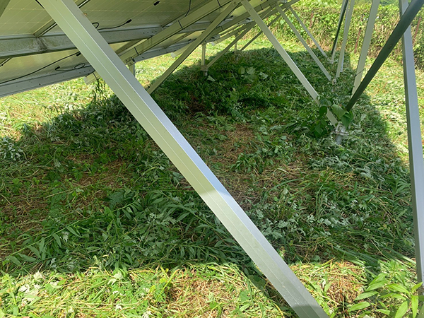 実績・評判口コミ画像03-鹿児島県　49.5kW　低圧