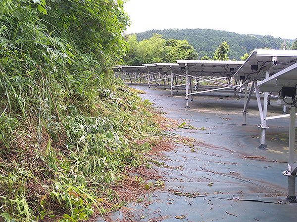 実績・評判口コミ画像02-高知県　49.5kW  低圧