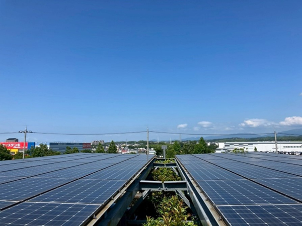 実績・評判口コミ画像02-大阪府　350 kW　高圧