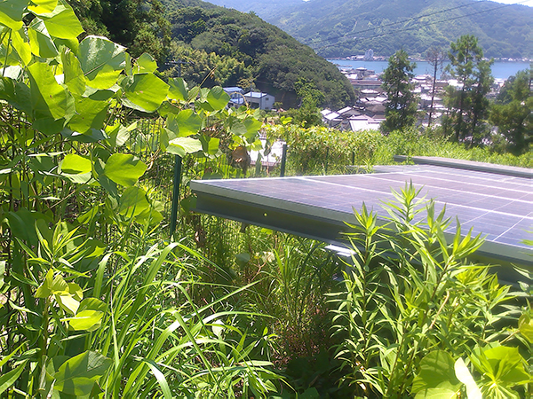 実績・評判口コミ画像01-愛媛県　49.5kW　低圧